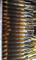Amber Anemonis Raddeanae Glass Tube