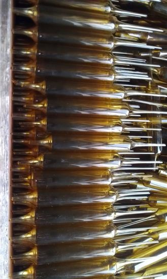 Amber Anemonis Raddeanae Glass Tube