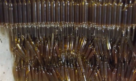 Anemones Raddeanae Amber Glass Tube for Lab